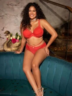 ELOMI Kendra Thong -FREYA Shop braforme elomi lingerie kendra cherry red el301670 el310602 ls 84a38958 c03a 4482 8874 d1ac171da168