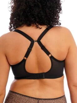 ELOMI Matilda Plunge Bra - Leopard -FREYA Shop braforme elomi lingerie matilda bra el8900 led leopard b1