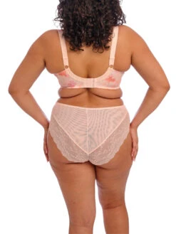 ELOMI Lucie Plunge Bra - Cosmos -FREYA Shop braforme elomi lucie EL4490 COM 2b