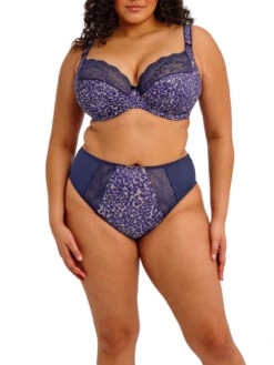 ELOMI Lucie High Leg Brief -FREYA Shop braforme elomi lucie EL4498 MIH 2f