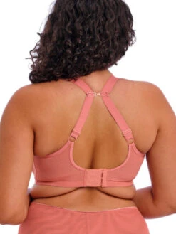 ELOMI Matilda Plunge Bra - Rose Leo -FREYA Shop braforme elomi matilda EL8900 ROO 2b
