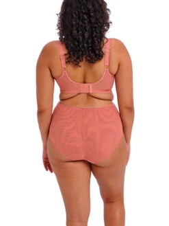 ELOMI Matilda Plunge Bra - Rose Leo -FREYA Shop braforme elomi matilda EL8900 ROO 3b