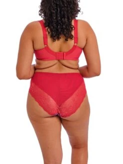 ELOMI Morgan Printed Full Cup Bra - Sunset Meadow -FREYA Shop braforme elomi morgan EL4110 SUW 2b