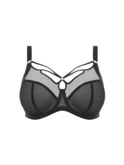 ELOMI Sachi Plunge Bra - Black -FREYA Shop braforme elomi sachi EL4350 BLK c
