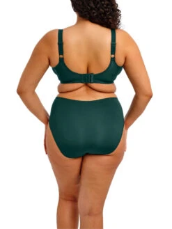 ELOMI Smooth Moulded T-Shirt Bra - Deep Emerald -FREYA Shop braforme elomi smooth EL4301 DPE 2b