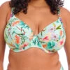 ELOMI Sunshine Cove Plunge Bikini Top - Aqua -FREYA Shop braforme elomi sunshine cove ES801802 AQA f