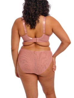 ELOMI Teagan Plunge Bra - Ash Rose -FREYA Shop braforme elomi teagan EL302602 ASE 2b