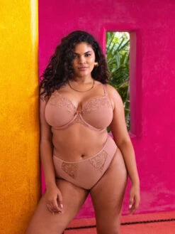 ELOMI Teagan Plunge Bra - Ash Rose -FREYA Shop braforme elomi teagan EL302602 ASE l