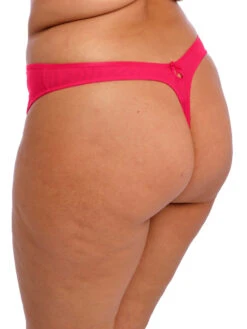 ELOMI Teagan Thong 16 ELOMI Teagan Thong -FREYA Shop braforme elomi teagan EL302670 AZA s
