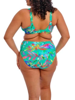 ELOMI Toyama Tides Bikini Brief -FREYA Shop braforme elomi toyama tides ES802272 JAE 2b