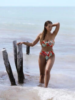 FANTASIE Bamboo Grove Mid Rise Bikini Brief -FREYA Shop braforme fantasie 501672 hot ls