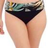 FANTASIE Bamboo Grove Fold Over Bikini Brief -FREYA Shop braforme fantasie 501677 jet f