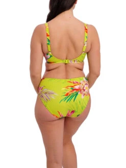 FANTASIE Cala Macarella Full Cup Bikini Top - Zest -FREYA Shop braforme fantasie cala macarella FS505201 ZET 2b