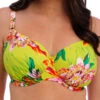 FANTASIE Cala Macarella Full Cup Bikini Top - Zest -FREYA Shop braforme fantasie cala macarella FS505201 ZET f