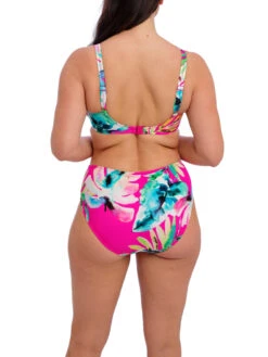 FANTASIE Carabelita Full Bikini Brief -FREYA Shop braforme fantasie carabelita FS505871 PEY 2b