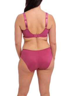 FANTASIE Envisage Full Cup Bra - Passion -FREYA Shop braforme fantasie envisage FL6911 PAN 2b