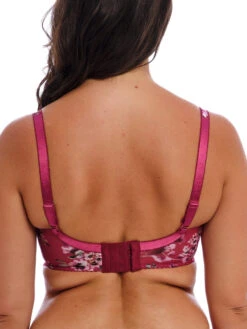 FANTASIE Lucia Side Support Bra - Cherry -FREYA Shop braforme fantasie lucia FL101501 CHR b