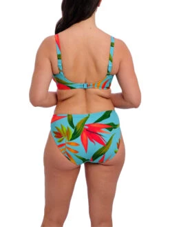 FANTASIE Pichola Bikini Brief -FREYA Shop braforme fantasie pichola FS503972 AQA 2b