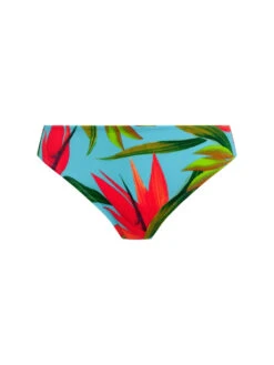 FANTASIE Pichola Bikini Brief -FREYA Shop braforme fantasie pichola FS503972 AQA c