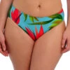 FANTASIE Pichola Bikini Brief -FREYA Shop braforme fantasie pichola FS503972 AQA f