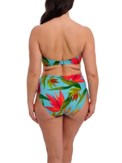 FANTASIE Pichola High Waist Bikini Brief -FREYA Shop braforme fantasie pichola FS503978 AQA 2b