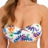 FANTASIE Paradiso Twist Bandeau Bikini Top - Multi -FREYA Shop braforme fantasie swimwear fs501809 bikini top multi aw23 f1