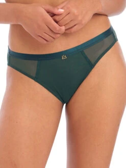 FREYA Snapshot Brief