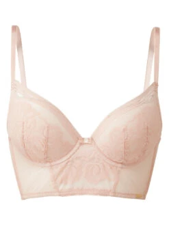 Gossard Encore Longline Bra - Blush -FREYA Shop braforme gossard encore web 15608 BSH cf