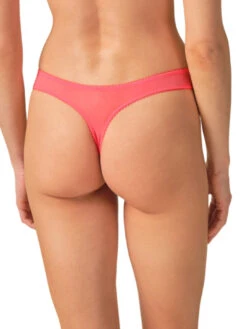 Gossard Superboost Lace Thong -FREYA Shop braforme gossard superboost lace 7716 SUG b