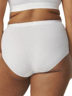 Sloggi Control Maxi -FREYA Shop braforme lingerie sloggi knickers control briefs 0003 b