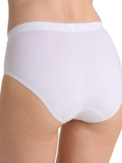 Sloggi Control Tai -FREYA Shop braforme lingerie sloggi knickers control briefs 10005204 0003 b