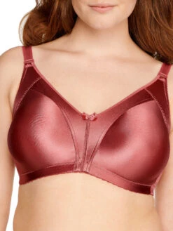 Naturana Full Cup Minimiser Bra - Sun Kissed