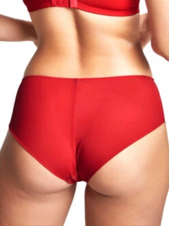 Panache Ana Brief -FREYA Shop braforme panache ana 9395 A28 b