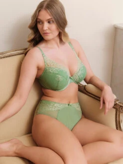 Panache Ana High Apex Plunge Bra - Sage/Sand 14 Panache Ana High Apex Plunge Bra - Sage/Sand -FREYA Shop braforme panache ana 9397 B04 2l