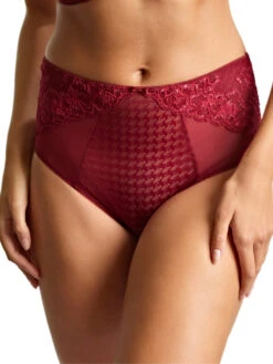 Panache Envy Deep Brief