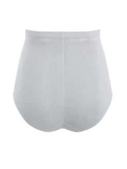 Panache Envy High Waist Brief -FREYA Shop braforme panache envy 7284 136 cb