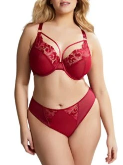 Jaida High Leg Brief -FREYA Shop braforme panache lingerie jaida scarlet 10532 10536 full