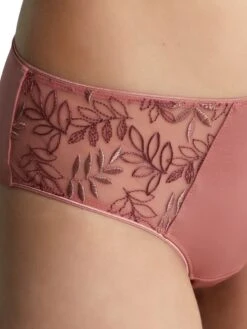Panache Tango Luxe Brief -FREYA Shop braforme panache lingerie tango sunset 9077 s