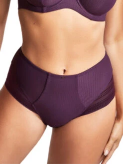Panache Serene High Waist Brief 27 Panache Serene High Waist Brief -FREYA Shop braforme panache serene 10303 006 f