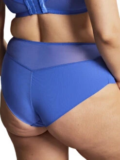 Panache Tango Deep Brief -FREYA Shop braforme panache tango 9093 COT b