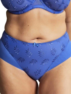 Panache Tango Deep Brief -FREYA Shop braforme panache tango 9093 COT f