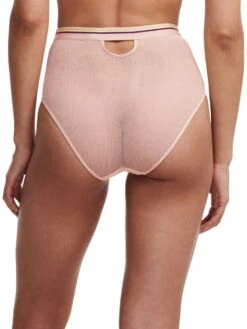 Passionata Paola High Waisted Full Brief -FREYA Shop braforme passionata lingerie paola p41l70 0rg b