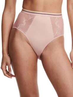 Passionata Paola High Waisted Full Brief -FREYA Shop braforme passionata lingerie paola p41l70 0rg f