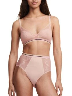 Passionata Paola High Waisted Full Brief -FREYA Shop braforme passionata lingerie paola p41l70 0rg full