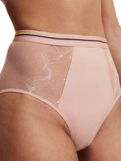Passionata Paola High Waisted Full Brief -FREYA Shop braforme passionata lingerie paola p41l70 0rg s