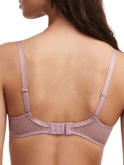 Passionata Olivia Extra Push Up Bra - Dahlia -FREYA Shop braforme passionata olivia dahlia 0ql p49j20 b