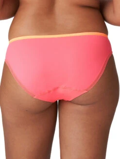 PRIMADONNA Devdaha Rio Brief -FREYA Shop braforme primadonna devdaha 0563440 TRC b
