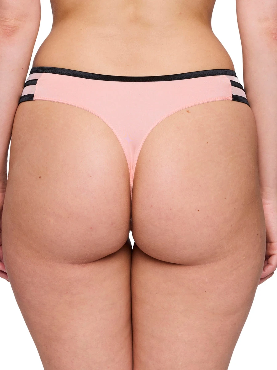 PRIMADONNA Eraclea Thong 4 PRIMADONNA Eraclea Thong - Image 2