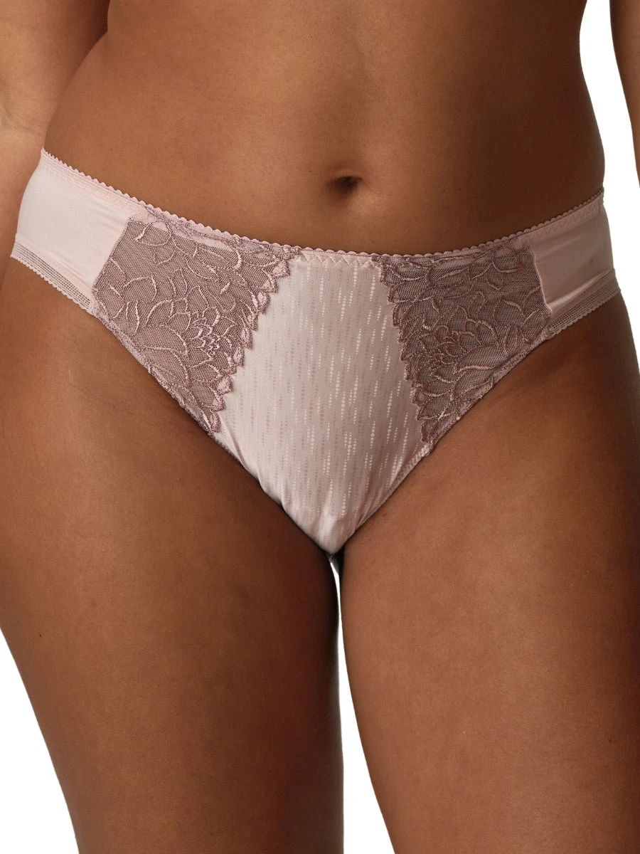 PRIMADONNA Monterrey Rio Brief 8 PRIMADONNA Monterrey Rio Brief - Image 6