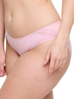 PRIMADONNA Salerno Rio Brief 19 PRIMADONNA Salerno Rio Brief -FREYA Shop braforme primadonna salerno 0563530 SNR s